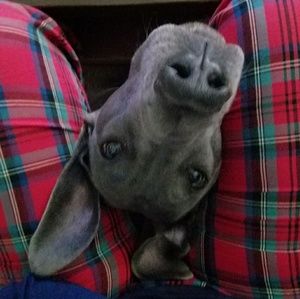 Meet your Posher, Katy